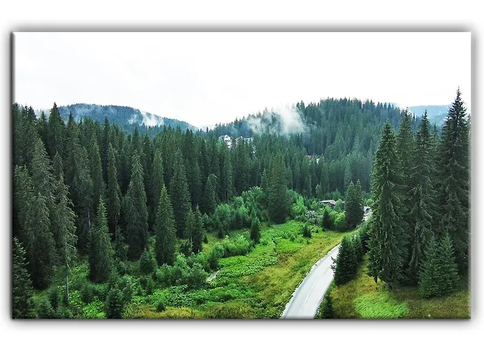 Grand B27 * Pamporovo