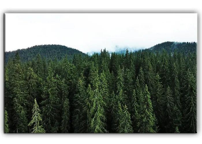 Grand B27 Apartamento *