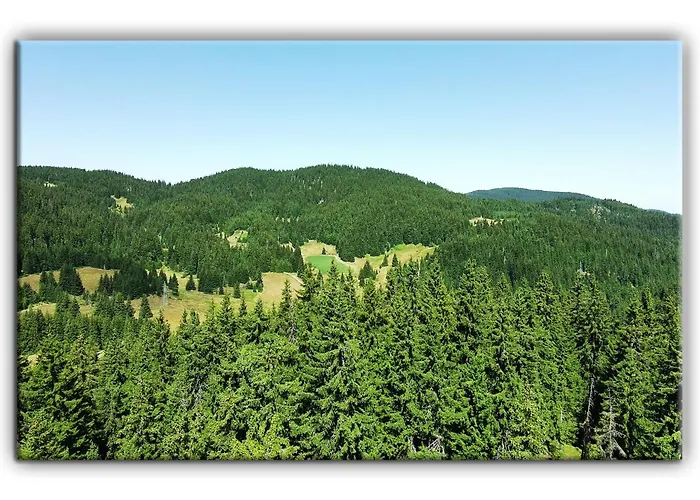 Apartment Grand B27 *